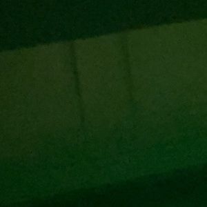 Meet your Posher, Layla